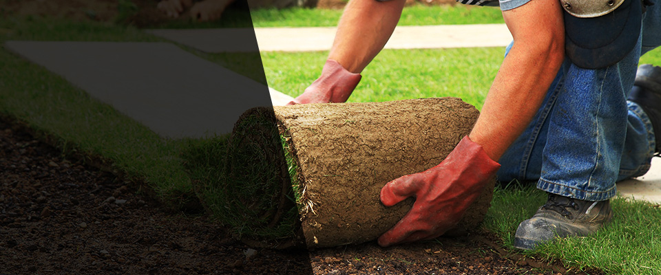 Hampton Bays Landscapers
